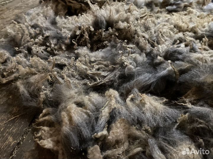 Шерсть романовской овцы