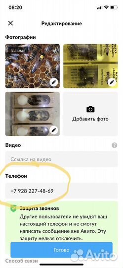 Пчеломатки в наличии