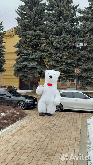 Белый мишка поздравление