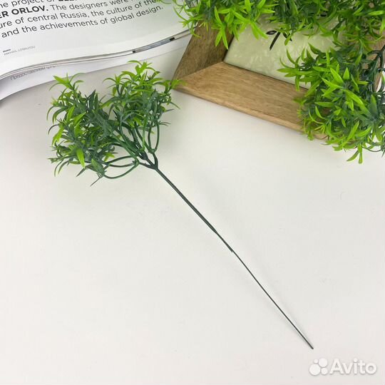 Аспарагус, искусственная зелень, ветка 26 см, набо