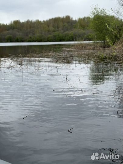 Ищу инвестора в магазин по продаже раков