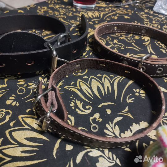 Амуниция для собак игрушки шампунь пеленки