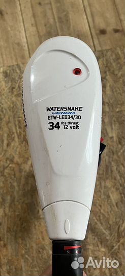 Лодочный мотор электро watersnake