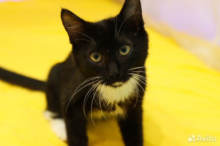 Привет я Тёма и очень хочу домой