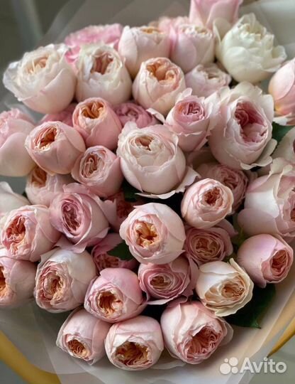 Пионовидные розы