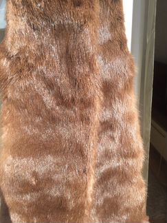 Шкурка животного