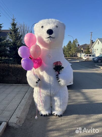 Белый мишка поздравление