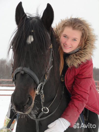 Конные прогулки