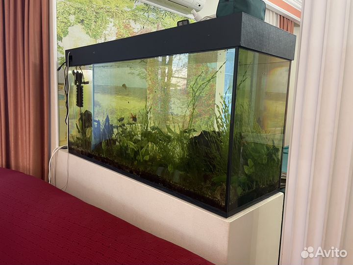 Аквариум 300 литров
