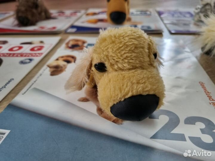 Журналы The dog и The cat