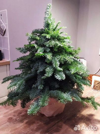 Ёлка из нобилиса