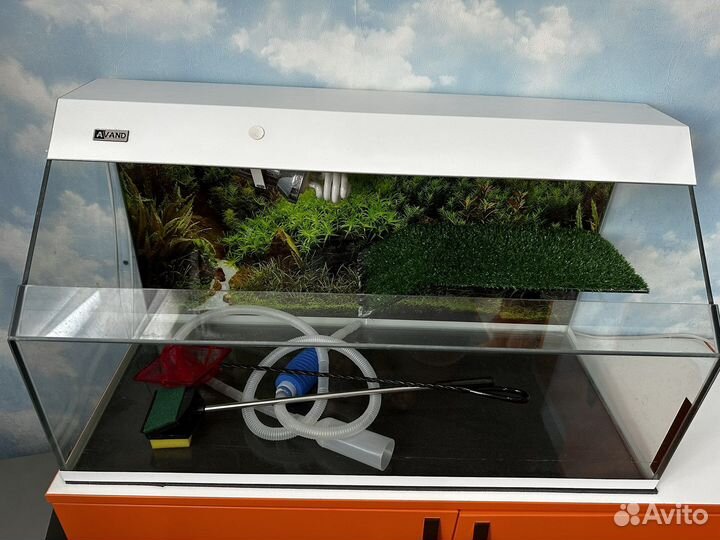 Террариум для красноухой черепахи