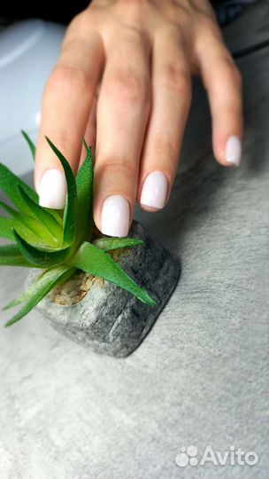 Маникюр и педикюр