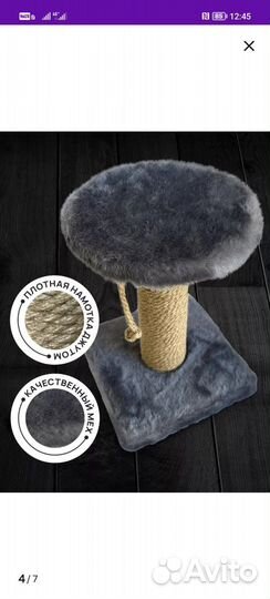 Когтеточка