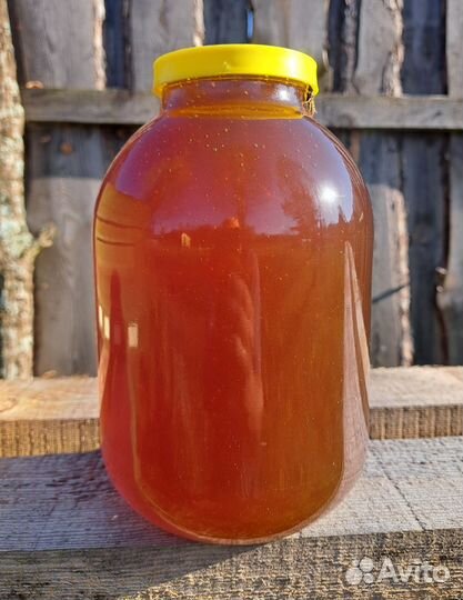 Мёд лесной урожай 2023