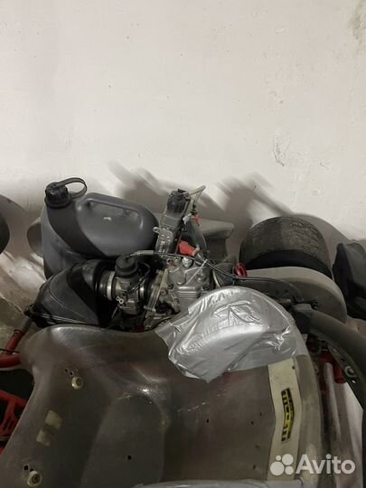 Rotax картинг