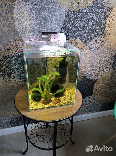 Аквариум