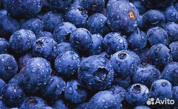 Черника замороженная Брусника