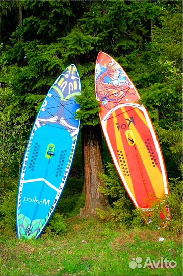 Лучшие сапборды