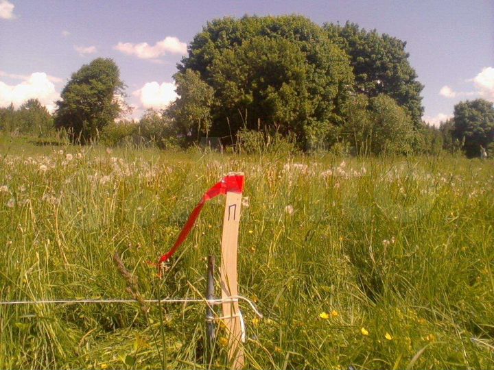 Участок 9 сот. (ИЖС)