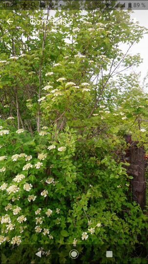 Участок 6 сот. (СНТ, ДНП)