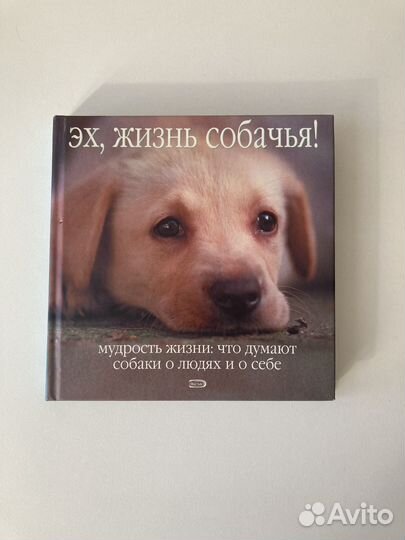 Книга Эх жизнь собачья