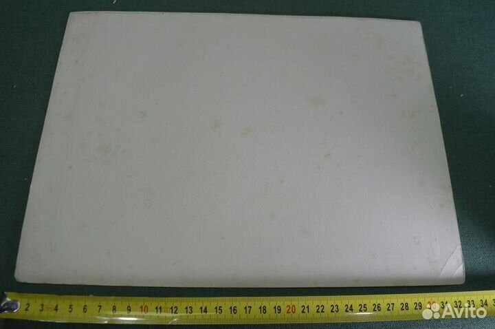 Репродукция 