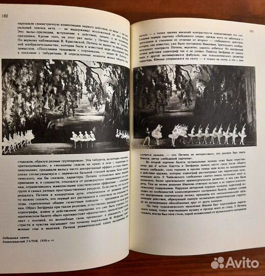 Лебединое озеро