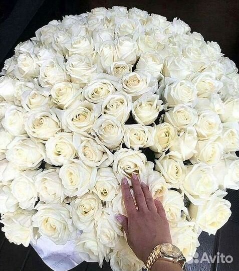 Высокие розы