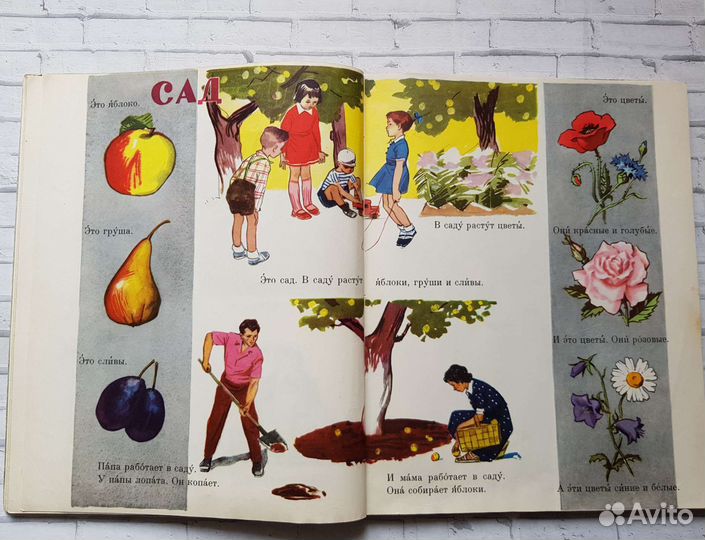 Учебники СССР Русский язык в картинках Баранников