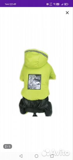 Одежда для собак