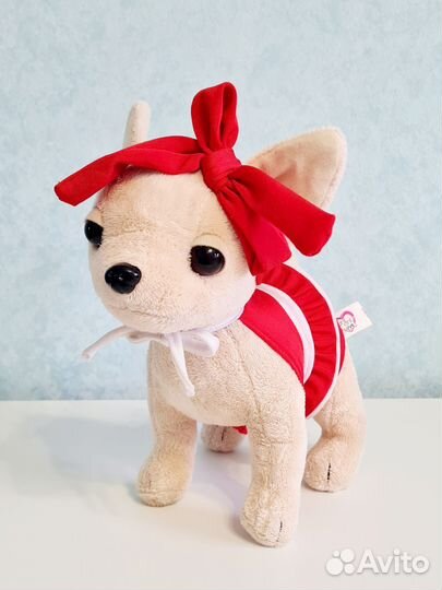 Chi Chi Love Чихуахуа На пляже