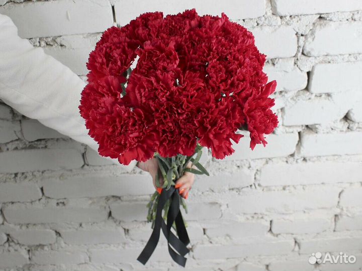 Цветы гвоздики