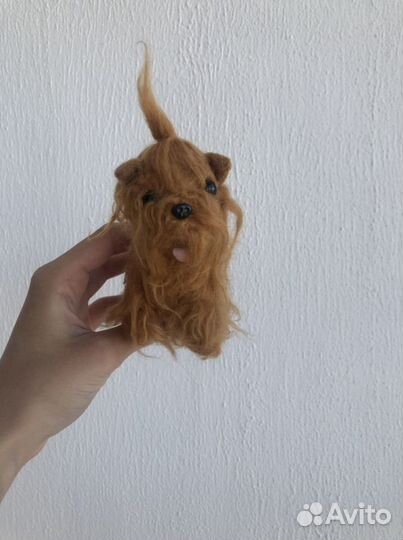 Собачка chi chi love