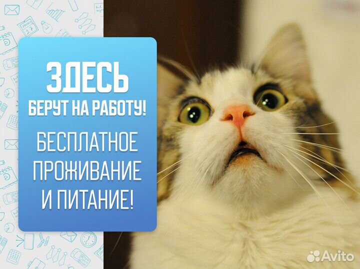 Вахта с проживанием