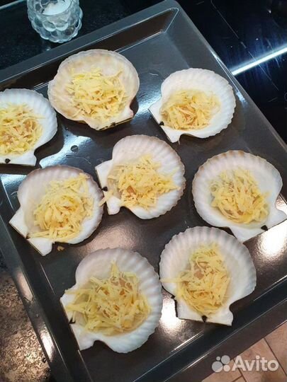 Морской гребешок / морские гребешки