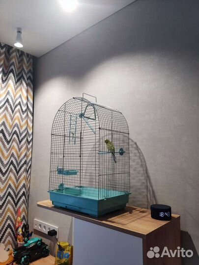 Клетка для попугая