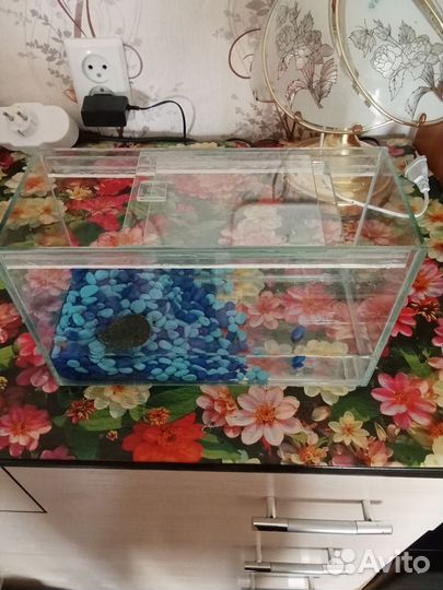 Аквариум