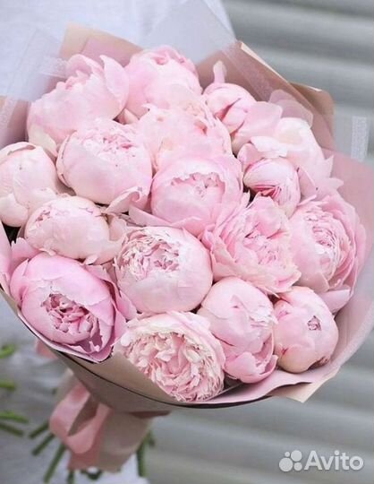 Пионы Букет пионов