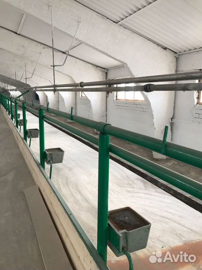 Оборудование для молочного животноводства по РФ