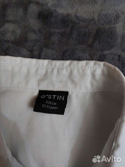 Рубашка Остин 146см