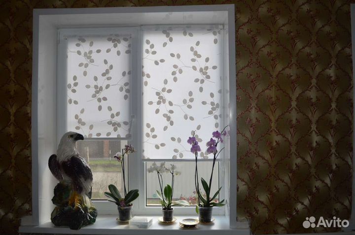 Жалюзи и рулонные шторы на окна