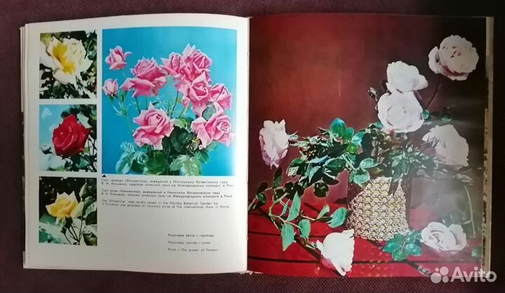 Никитский ботанический сад. Фотоальбом