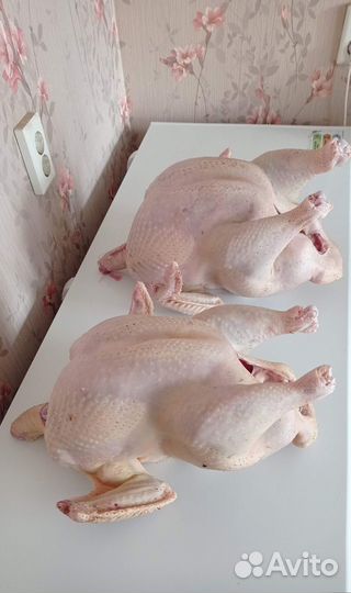 Домашнее мясо индейки и кур