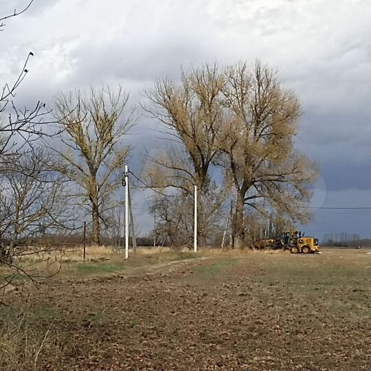 Участок 25 сот. (ИЖС)