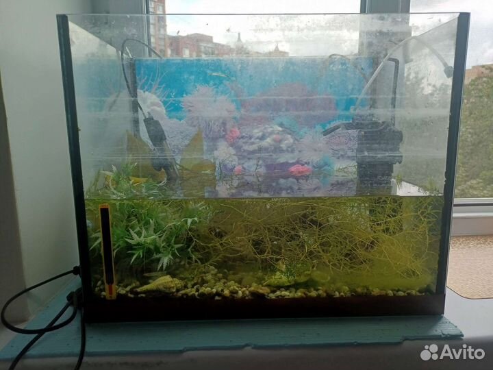 Аквариум 60л с обогревателем, светом и фильтром
