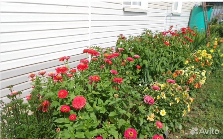 Помощь по хозяйству