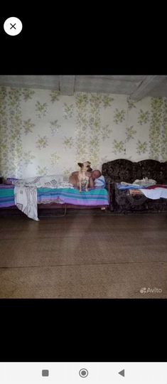 Дом 60 м² на участке 27 сот.