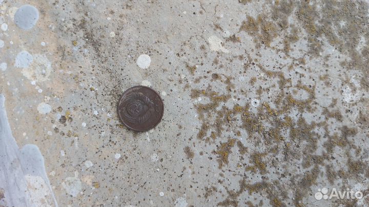 Нумезматика