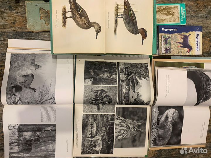 Охотничий каталог раритет. Допы. Коллекционное